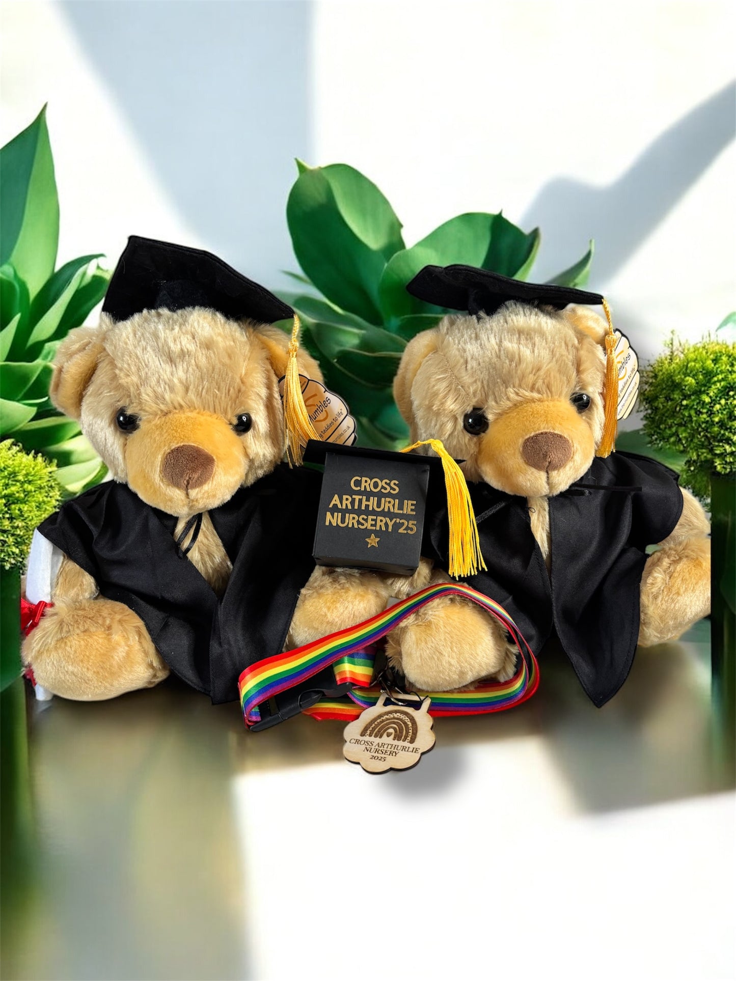 Graduation bears