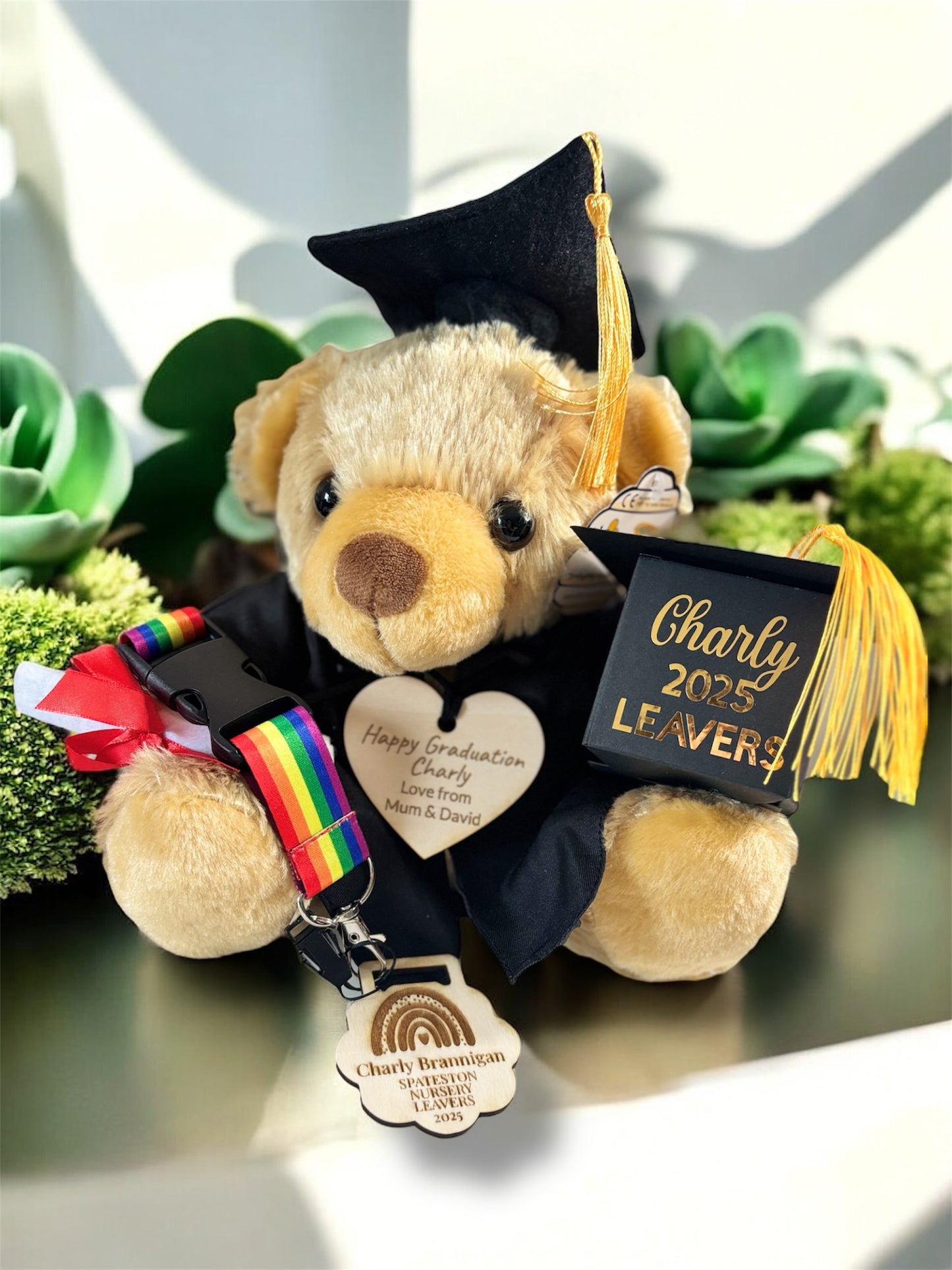 Graduation bears