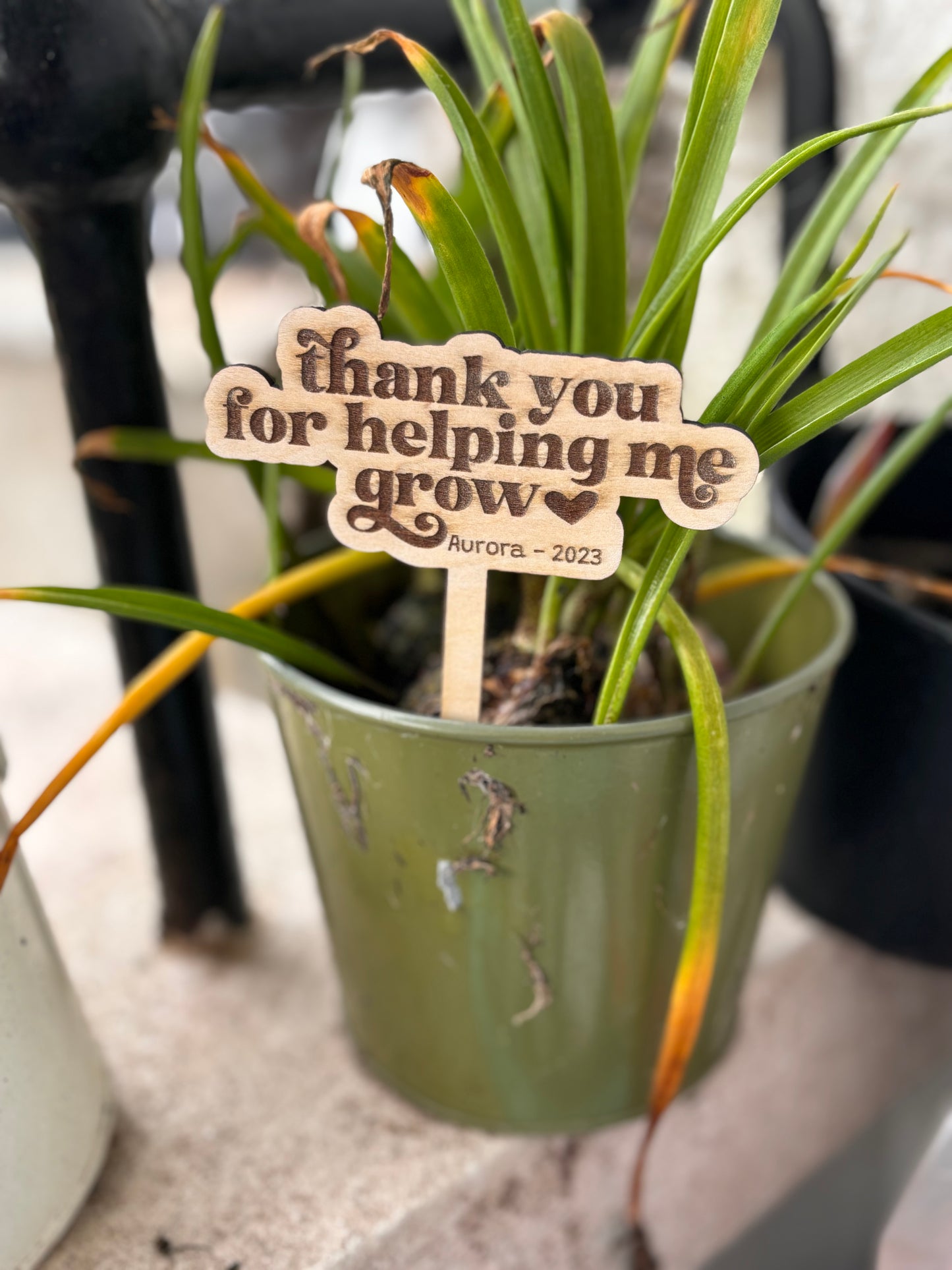Teacher planter sign