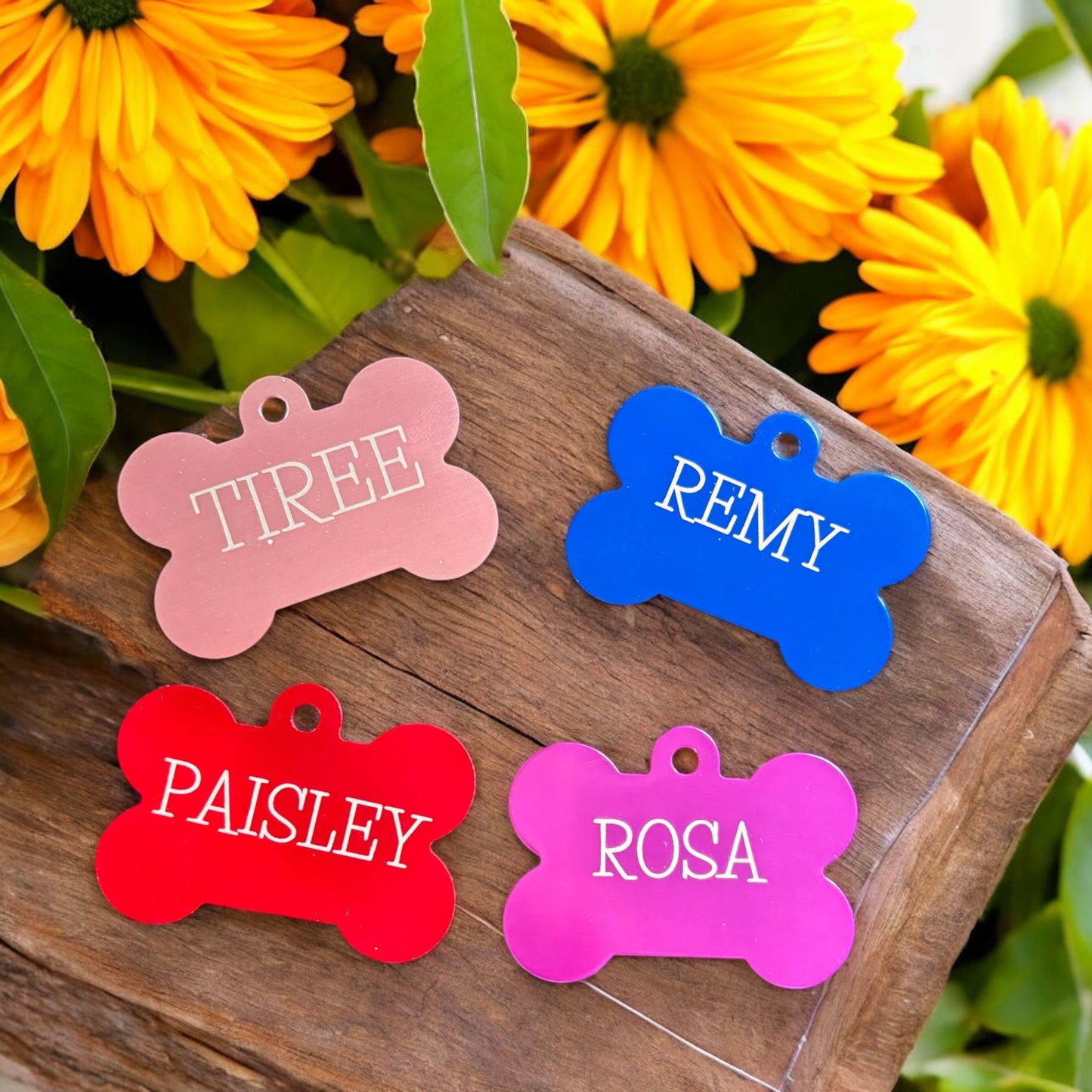 Pet tag
