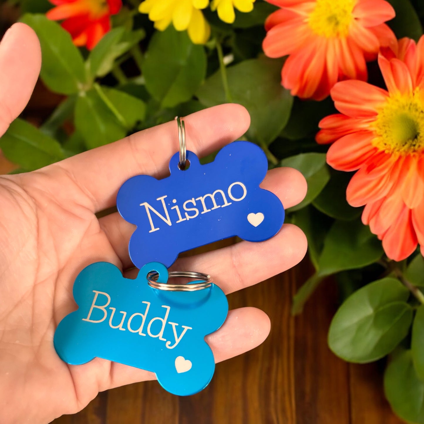 Pet tag