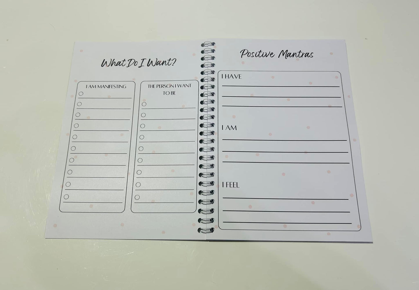 Manifesting Journal