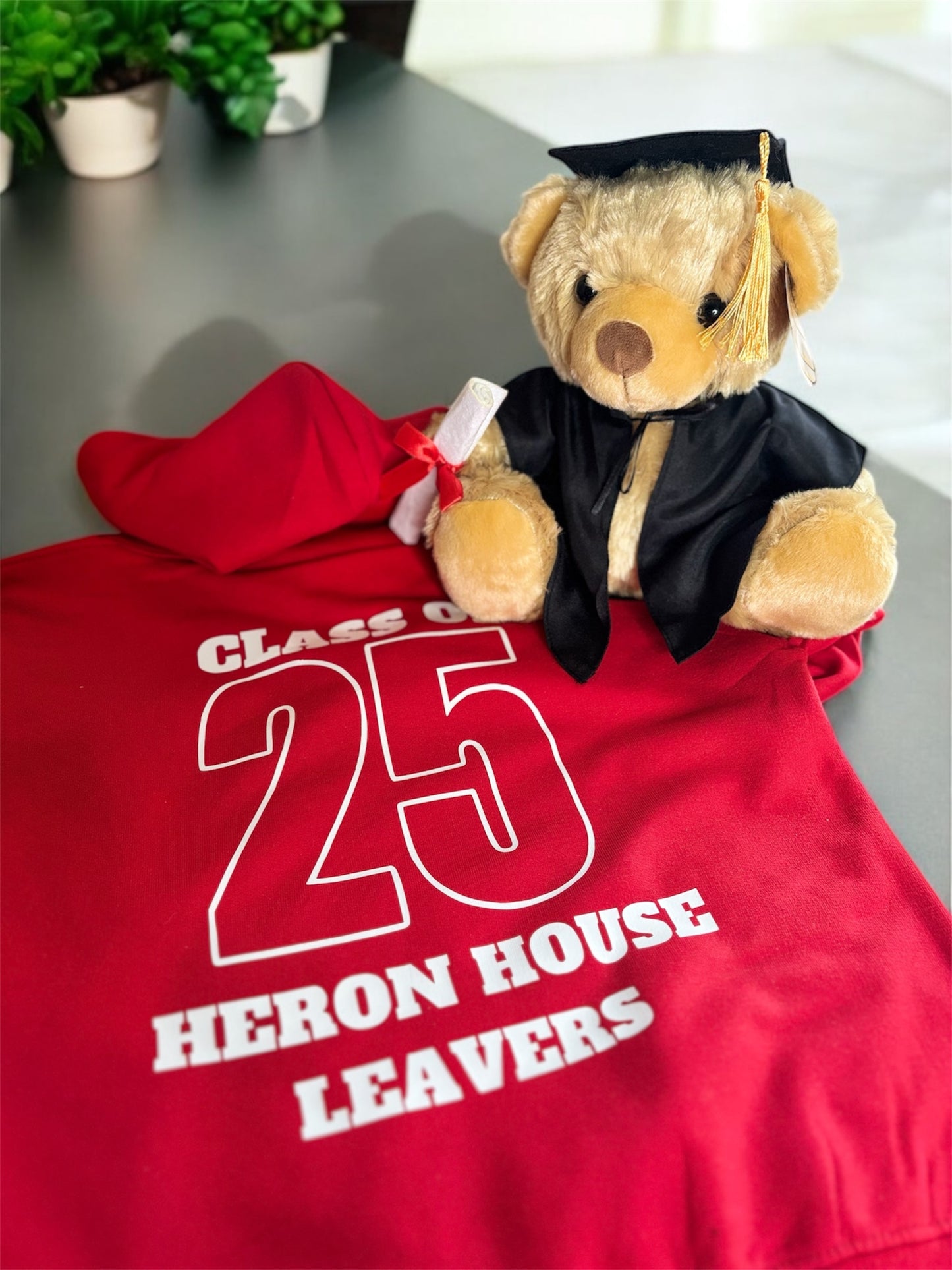 Graduation bears