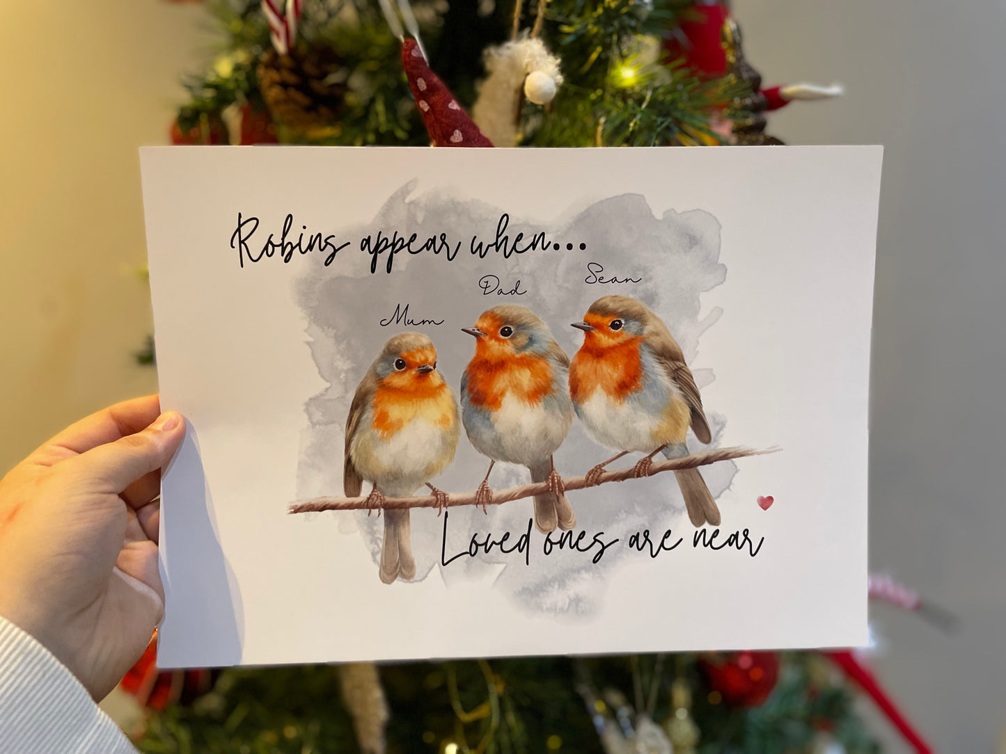 Robin prints