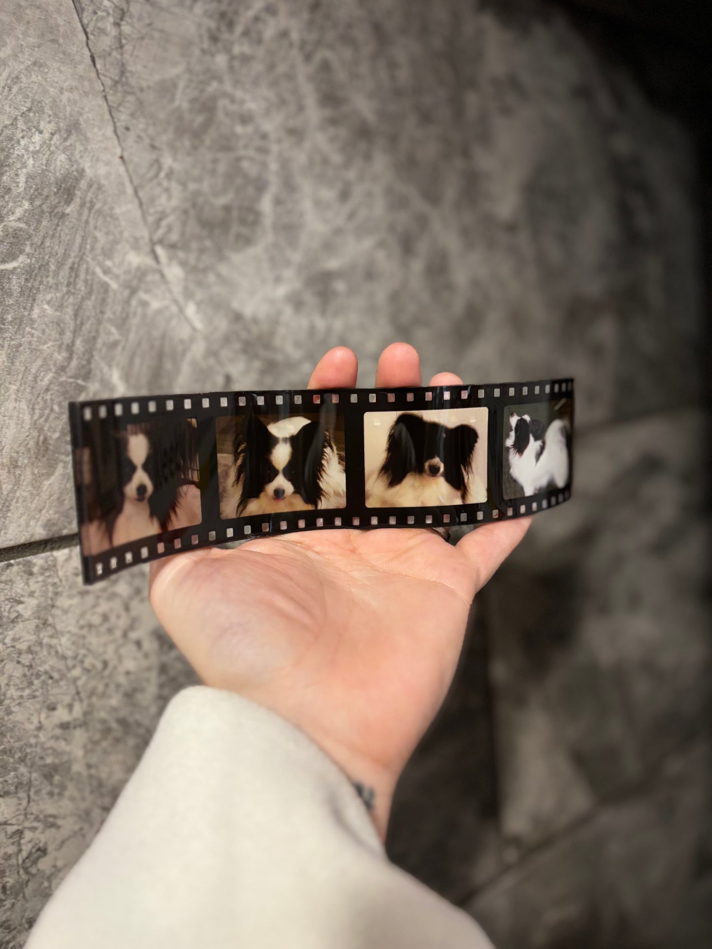 Acrylic photo film reel