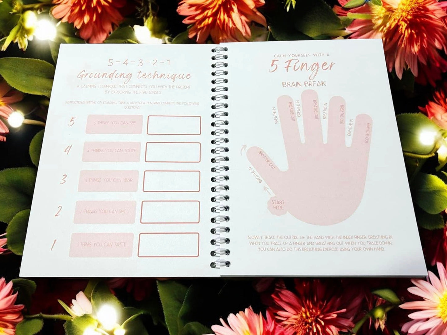 Anxiety Journal